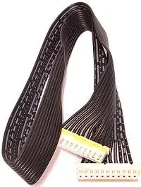 American DJ Entour Ice cavo flat ribbon ricambio